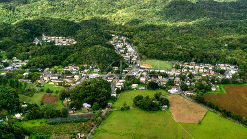 Rural homes and shops among forests, Vega Alta, Puerto Rico  Aerial Stock Photo AX101_038.0000000F | Axiom Images