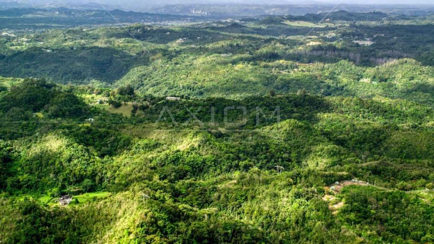 Rural homes partially hidden by tree covered hills, Vega Baja, Puerto Rico  Aerial Stock Photo AX101_039.0000000F | Axiom Images