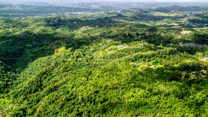 Tree covered hills with rural homes in Vega Baja, Puerto Rico Aerial Stock Photo AX101_040.0000217F | Axiom Images