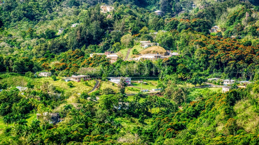 Rural homes in the tree covered hills, Vega Baja, Puerto Rico  Aerial Stock Photo AX101_041.0000000F | Axiom Images