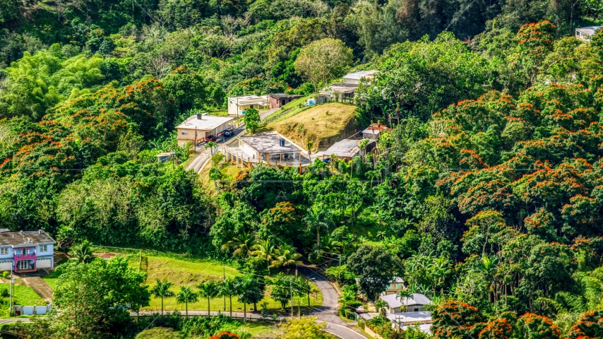 Rural homes by tree-covered hills in Vega Baja, Puerto Rico  Aerial Stock Photo AX101_042.0000199F | Axiom Images