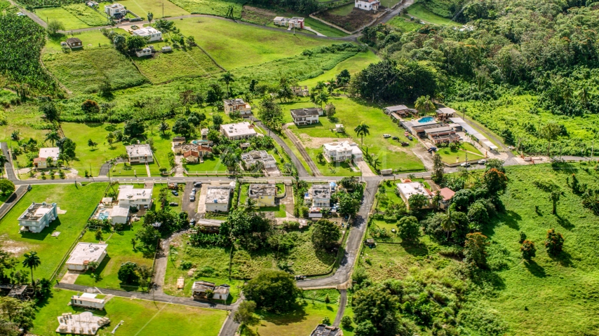 Rural neighborhood with lush green grass and trees, Vega Baja, Puerto Rico  Aerial Stock Photo AX101_043.0000368F | Axiom Images