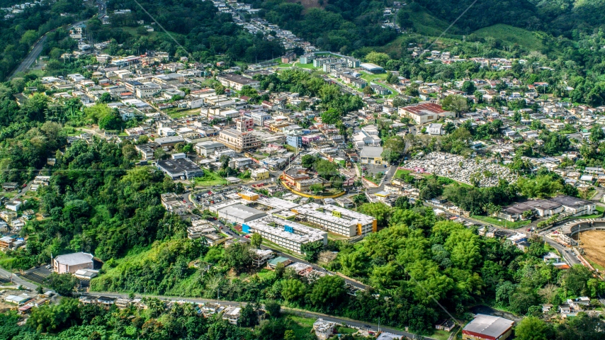 Town surrounded by trees, Ciales, Puerto Rico  Aerial Stock Photo AX101_047.0000000F | Axiom Images