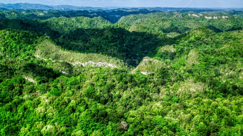 Tree covered mountains and jungle, Karst Forest, Puerto Rico Aerial Stock Photo AX101_050.0000204F | Axiom Images