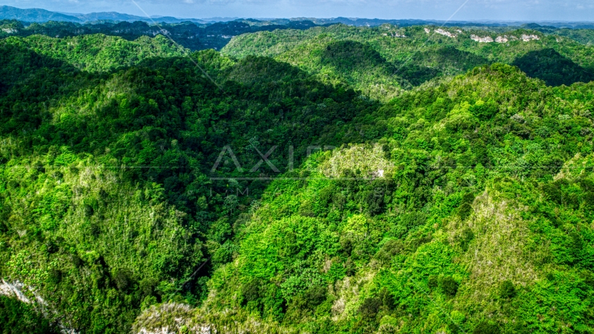 Karst mountains and jungle in Puerto Rico  Aerial Stock Photo AX101_051.0000187F | Axiom Images