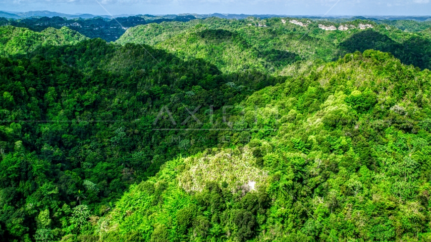 A view of limestone karst mountains covered by jungle, Karst Forest, Puerto Rico  Aerial Stock Photo AX101_052.0000000F | Axiom Images