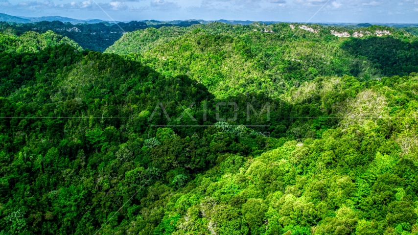 Mountains and jungle of the Karst Forest, Puerto Rico  Aerial Stock Photo AX101_052.0000197F | Axiom Images