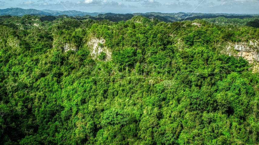 Rocky slope of lush green forests and mountains, Karst Forest, Puerto Rico  Aerial Stock Photo AX101_062.0000303F | Axiom Images