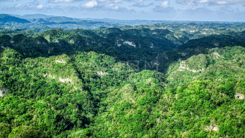 Thick jungle and limestone cliffs in the Karst Forest, Puerto Rico  Aerial Stock Photo AX101_063.0000000F | Axiom Images