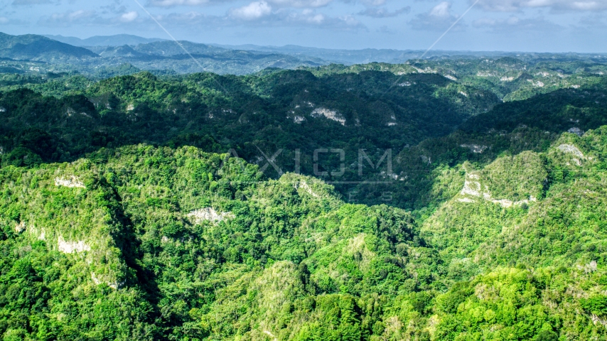 Jungle growth on the limestone cliffs of the karst mountains in the Karst Forest, Puerto Rico  Aerial Stock Photo AX101_063.0000152F | Axiom Images