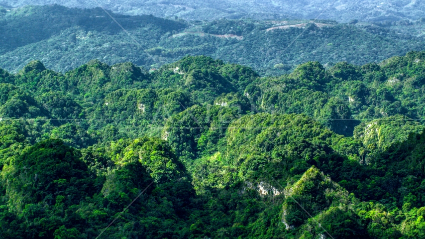 Lush green jungle in the Karst Forest, Puerto Rico Aerial Stock Photo AX101_064.0000132F | Axiom Images
