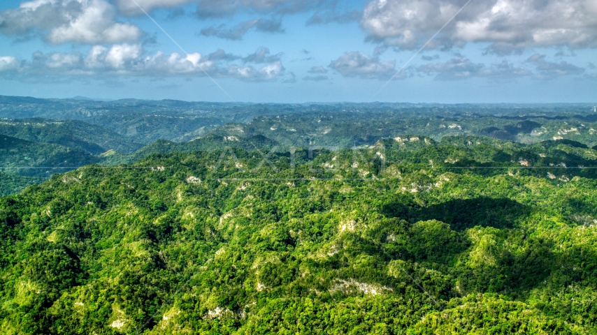 Green jungle and limestone cliffs in the Karst Forest, Puerto Rico Aerial Stock Photo AX101_067.0000000F | Axiom Images