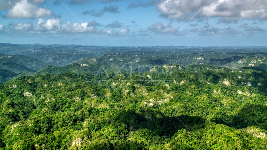 Limestone cliffs and lush green jungle, Karst Forest, Puerto Rico  Aerial Stock Photo AX101_068.0000000F | Axiom Images