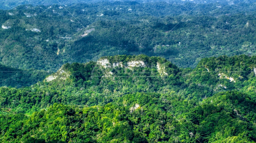 Limestone cliffs with lush green jungle growth in the Karst Forest, Puerto Rico  Aerial Stock Photo AX101_069.0000000F | Axiom Images