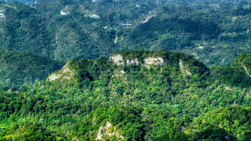 Limestone cliffs visible through jungle growth in the Karst Forest, Puerto Rico  Aerial Stock Photo AX101_069.0000189F | Axiom Images