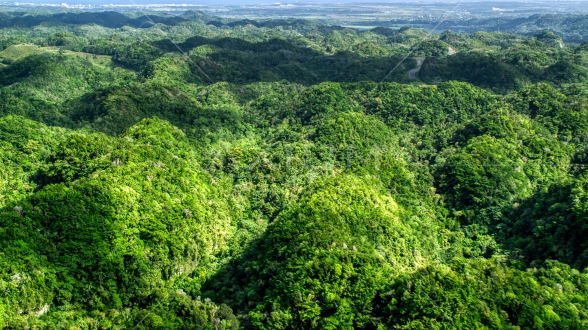 Green jungle covering karst mountains in the Karst Forest, Puerto Rico  Aerial Stock Photo AX101_074.0000160F | Axiom Images