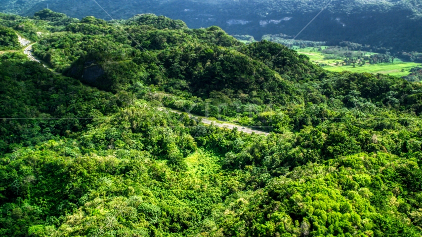 Highway cutting through lush green jungle of the Karst Forest, Puerto Rico Aerial Stock Photo AX101_076.0000000F | Axiom Images