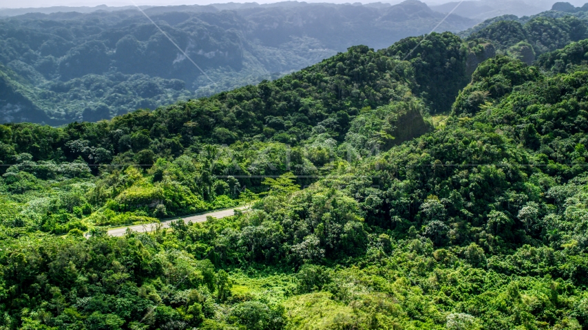 Highway through jungle in the Karst Forest, Puerto Rico  Aerial Stock Photo AX101_077.0000000F | Axiom Images