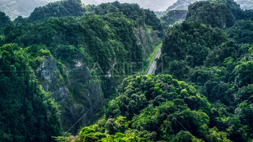 A highway cutting through lush green mountains, Karst Forest, Puerto Rico Aerial Stock Photo AX101_086.0000000F | Axiom Images