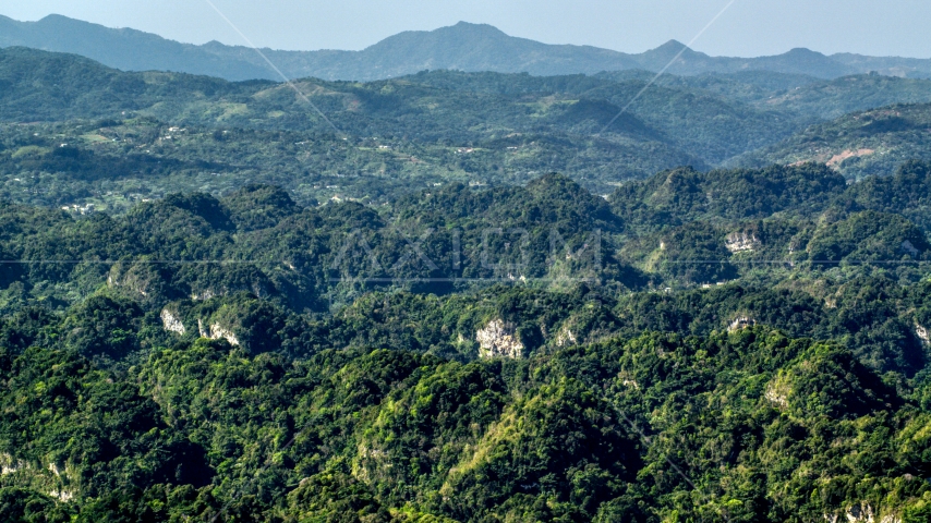 Lush green jungle and limestone cliffs of the Karst Forest, Puerto Rico Aerial Stock Photo AX101_089.0000000F | Axiom Images