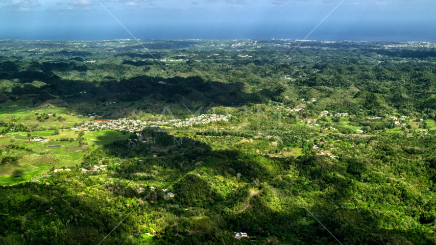 Rural homes situated among lush green trees in Karst mountains, Arecibo, Puerto Rico  Aerial Stock Photo AX101_124.0000000F | Axiom Images
