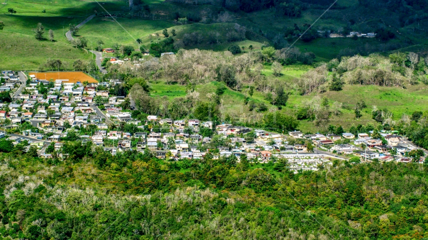 Small rural neighborhood nestled among trees Arecibo, Puerto Rico Aerial Stock Photo AX101_126.0000000F | Axiom Images