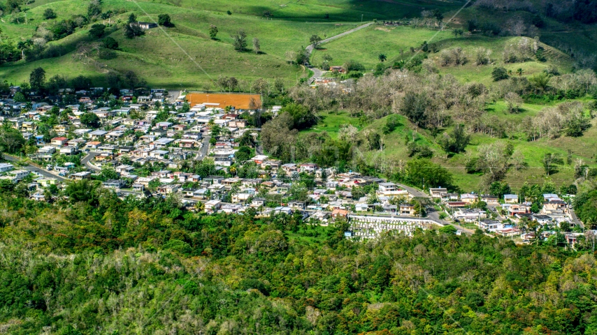 Small rural neighborhood surrounded by trees, Arecibo, Puerto Rico  Aerial Stock Photo AX101_127.0000000F | Axiom Images