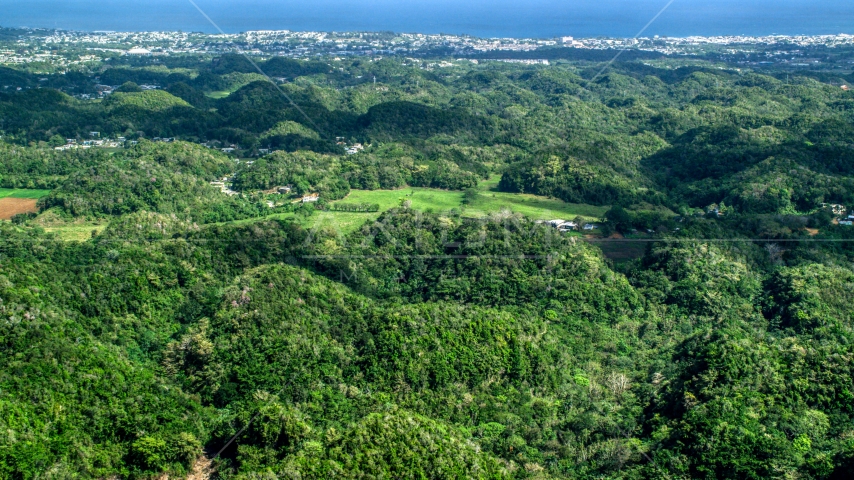 Tree covered hills and rural homes near the coast, Arecibo, Puerto Rico  Aerial Stock Photo AX101_128.0000000F | Axiom Images