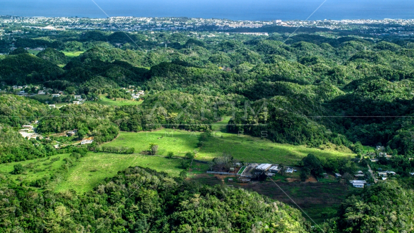Tree covered hills and rural homes near the coast, Arecibo, Puerto Rico Aerial Stock Photo AX101_129.0000000F | Axiom Images