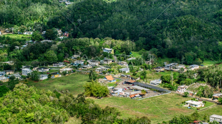 A group of rural homes surrounded by trees, Arecibo, Puerto Rico  Aerial Stock Photo AX101_130.0000000F | Axiom Images