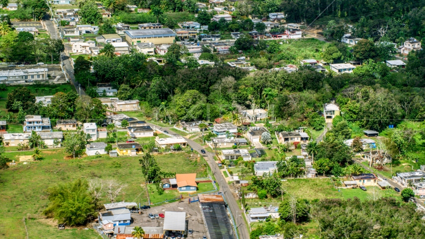 Rural neighborhood with trees, Arecibo, Puerto Rico Aerial Stock Photo AX101_131.0000000F | Axiom Images