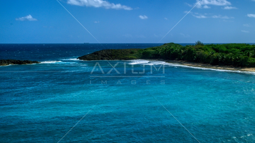 A deserted beach with trees in Arecibo, Puerto Rico Aerial Stock Photo AX101_153.0000161F | Axiom Images