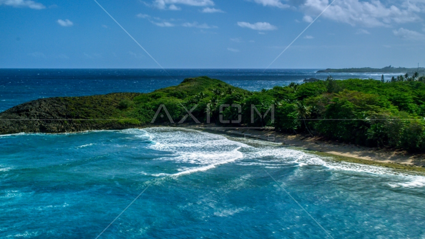 Waves rolling in toward the tree-lined coast of Arecibo, Puerto Rico  Aerial Stock Photo AX101_154.0000043F | Axiom Images