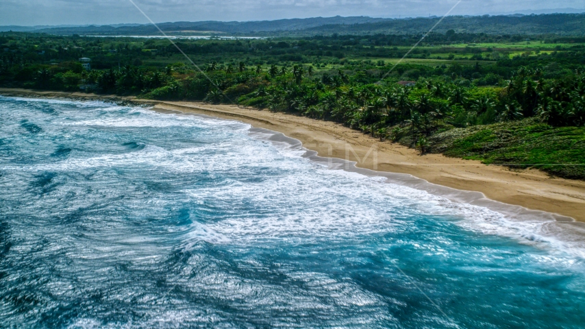 Beach and tree-lined coast in the Caribbean, Arecibo, Puerto Rico Aerial Stock Photo AX101_155.0000287F | Axiom Images