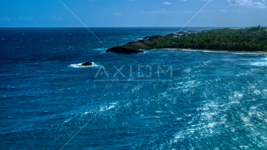 Clear blue water beside a tree-lined coast, Arecibo, Puerto Rico  Aerial Stock Photo AX101_159.0000111F | Axiom Images