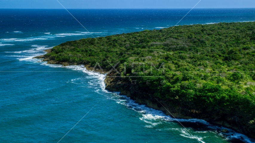 Stunning blue waters along a tree lined coast, Manati, Puerto Rico Aerial Stock Photo AX101_196.0000000F | Axiom Images