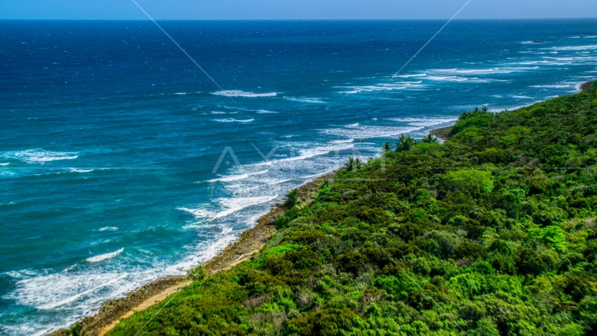 Waves rolling toward a tree lined coast, Manati, Puerto Rico Aerial Stock Photo AX101_196.0000289F | Axiom Images