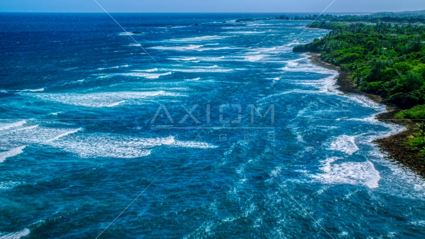 Waves rolling in toward a tree-lined Caribbean island coastline in Vega Baja, Puerto Rico  Aerial Stock Photo AX101_197.0000207F | Axiom Images