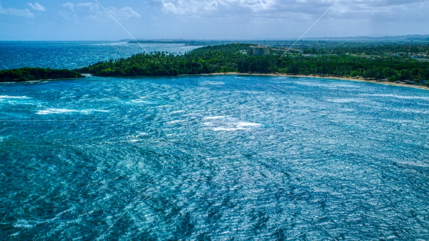 A tree-lined Caribbean island beach on the coast in Vega Alta, Puerto Rico  Aerial Stock Photo AX101_209.0000000F | Axiom Images