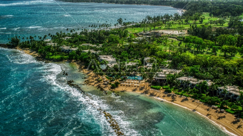 A Caribbean island resort and palm trees by the beach in Dorado, Puerto Rico  Aerial Stock Photo AX101_214.0000182F | Axiom Images