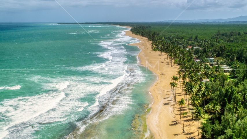 Waves rolling in toward a tree-lined beach in Loiza, Puerto Rico  Aerial Stock Photo AX102_019.0000224F | Axiom Images