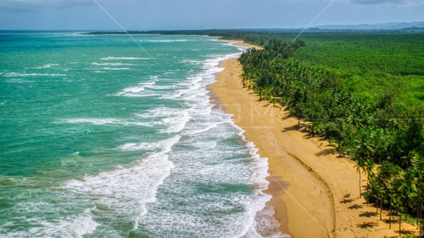 Tree lined Caribbean beach and turquoise water, Loiza, Puerto Rico  Aerial Stock Photo AX102_020.0000221F | Axiom Images