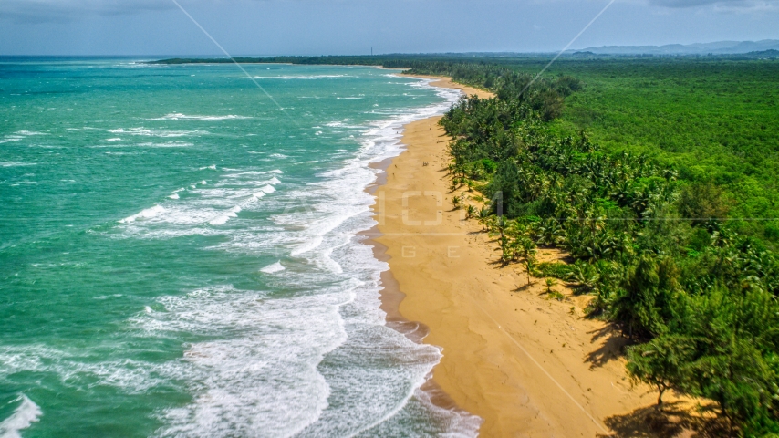 Waves rolling toward a tree lined Caribbean island beach, Loiza, Puerto Rico  Aerial Stock Photo AX102_021.0000000F | Axiom Images