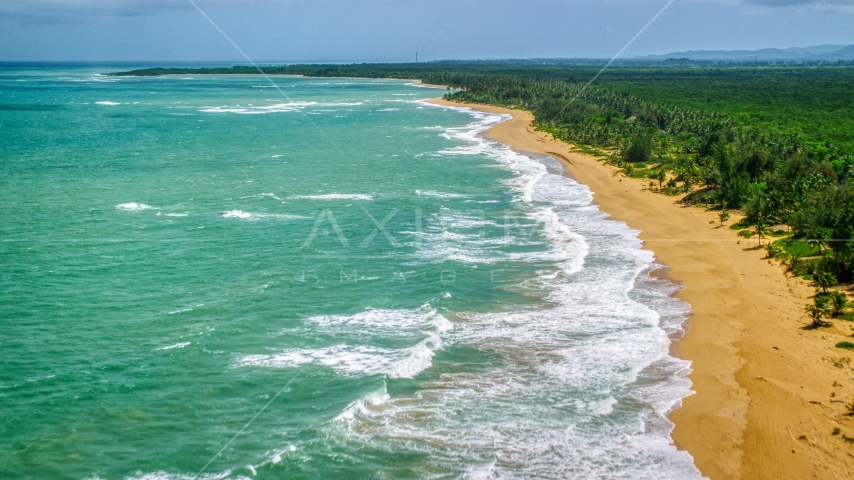 Waves rolling in to an empty Caribbean island beach in Loiza, Puerto Rico  Aerial Stock Photo AX102_022.0000119F | Axiom Images