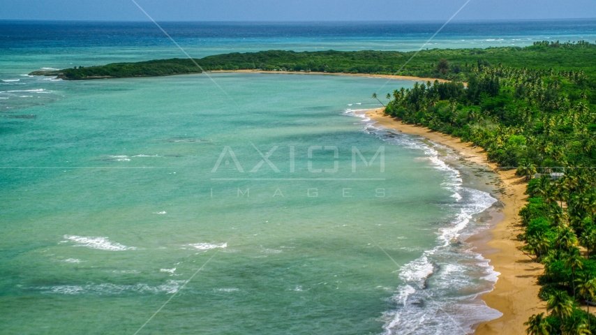 Beach with palm trees and turquoise water, Loiza, Puerto Rico Aerial Stock Photo AX102_025.0000209F | Axiom Images