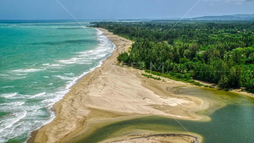 Jungle by an empty beach and turquoise waters, Loiza, Puerto Rico  Aerial Stock Photo AX102_030.0000252F | Axiom Images