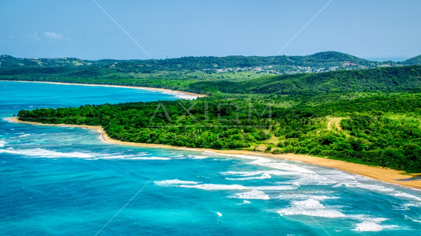 Jungle and beach beside clear blue Caribbean waters, Luquillo, Puerto Rico Aerial Stock Photo AX102_053.0000000F | Axiom Images