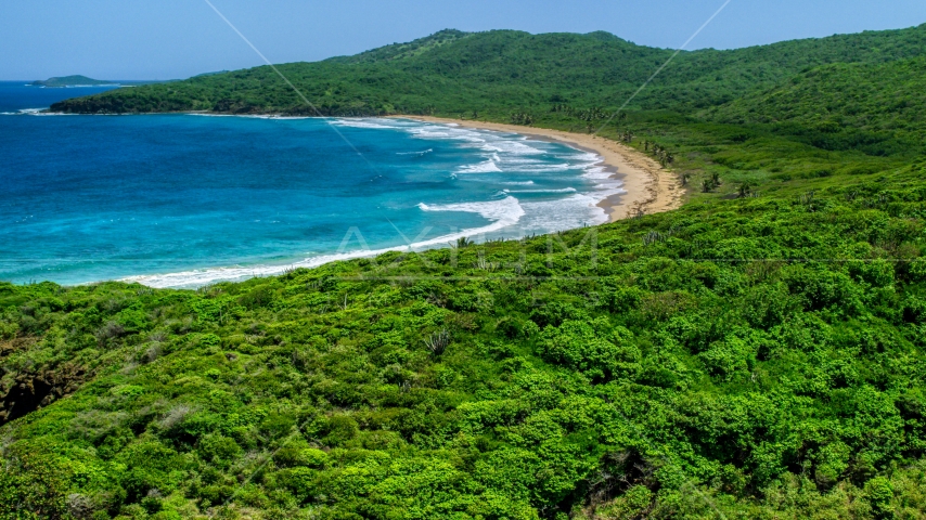 Tropical vegetation around a beach and blue waters in Culebra, Puerto Rico  Aerial Stock Photo AX102_121.0000000F | Axiom Images