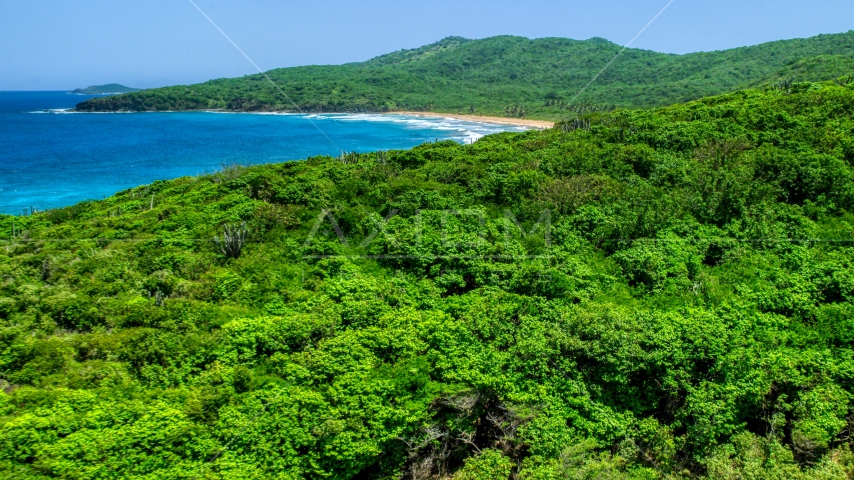 Coastal vegetation and sapphire blue waters, Culebra, Puerto Rico  Aerial Stock Photo AX102_121.0000158F | Axiom Images