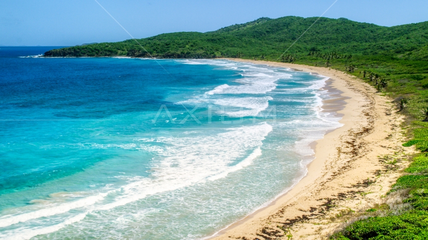 Coastal vegetation along a deserted Caribbean beach and sapphire blue waters, Culebra, Puerto Rico Aerial Stock Photo AX102_122.0000371F | Axiom Images